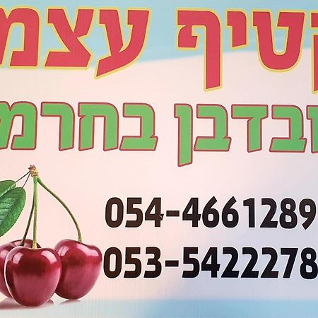 צימרים בגולן דובדבן בחרמון Mas'ada エクステリア 写真