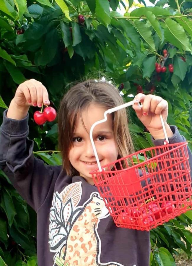 צימרים בגולן דובדבן בחרמון Mas'ada エクステリア 写真